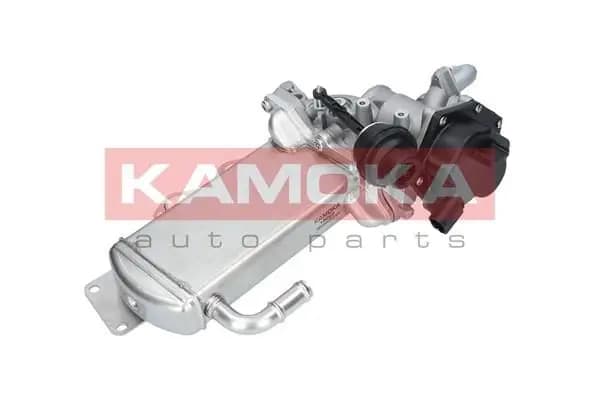 Module-EGR
