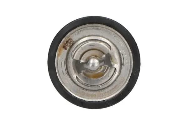 Thermostat d'eau KAVO PARTS