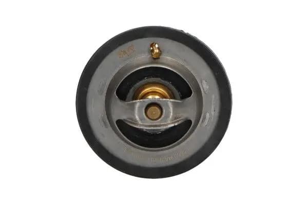 Thermostat d'eau KAVO PARTS