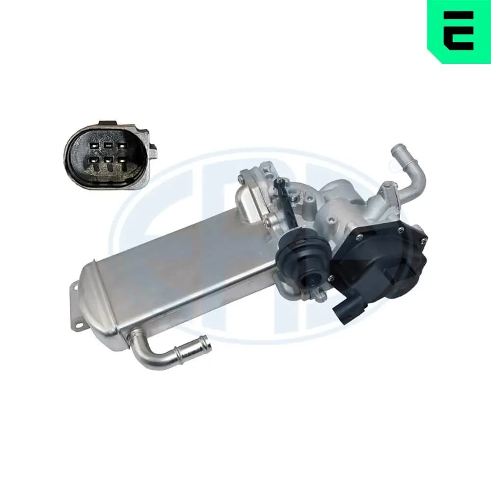 Module-EGR ERA