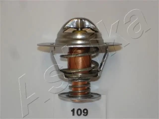 Thermostat d'eau ASHIKA