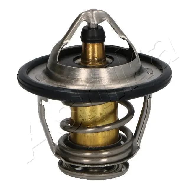 Thermostat d'eau ASHIKA