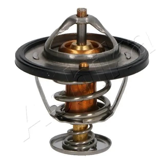 Thermostat d'eau ASHIKA
