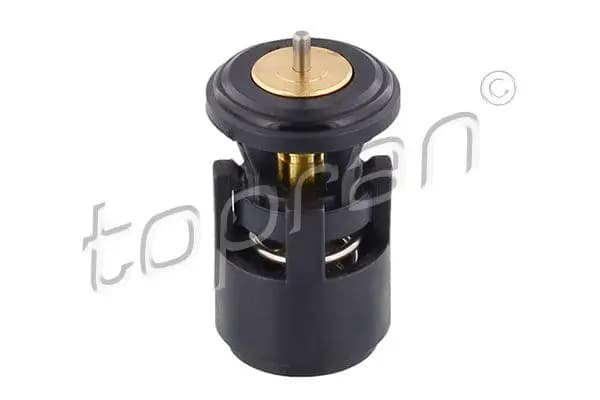 Thermostat d'eau TOPRAN