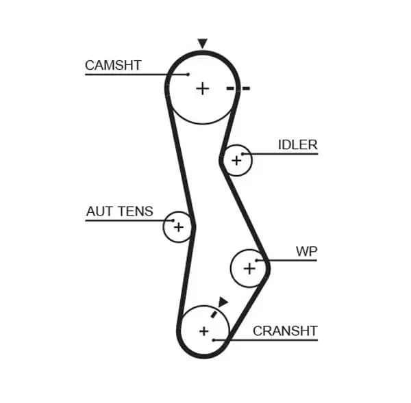 Courroie de distribution PowerGrip™