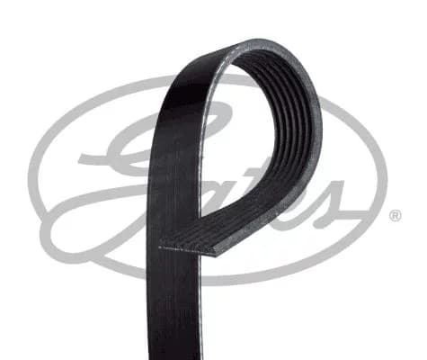 Courroie d'accessoire