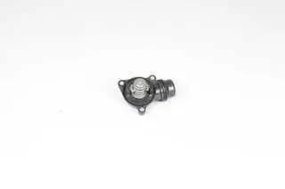 Thermostat d'eau BSG