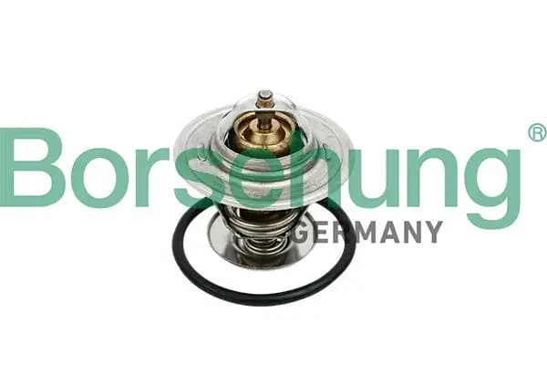 Thermostat d'eau Borsehung