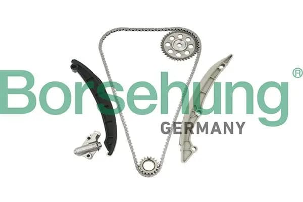 Kit de distribution par chaîne Borsehung