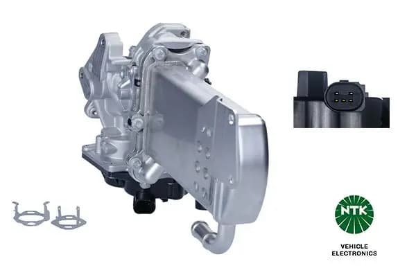 Module-EGR NTK
