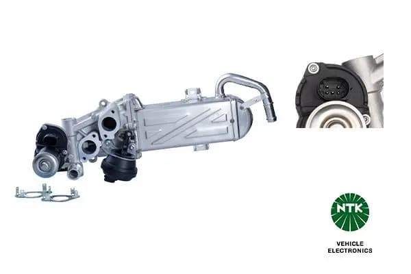 Module-EGR NTK