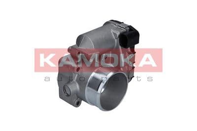 Corps papillon
