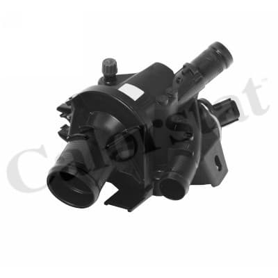 Thermostat/calorstat