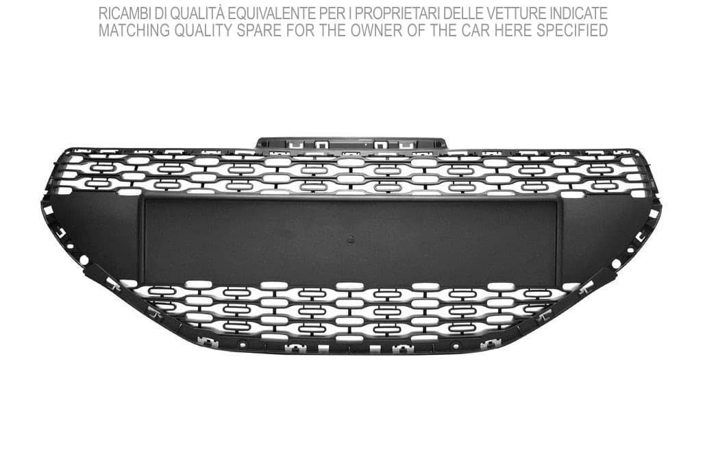 Grille de radiateur