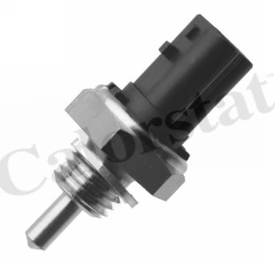 Thermostat/calorstat