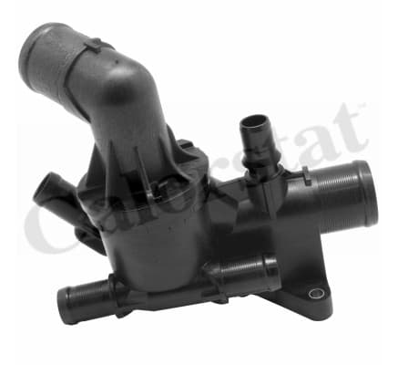 Thermostat/calorstat