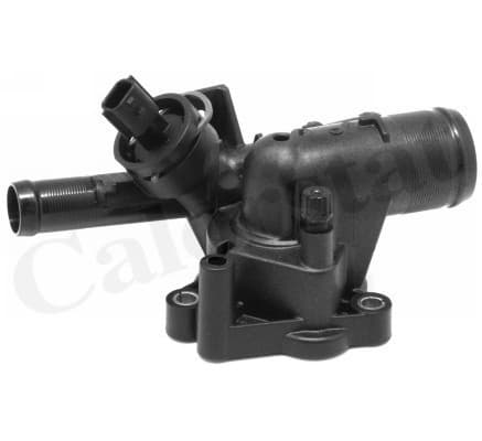 Thermostat/calorstat