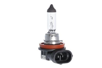Ampoule, projecteur antibrouillard ESSENTIAL