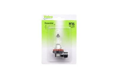 Ampoule, projecteur antibrouillard ESSENTIAL
