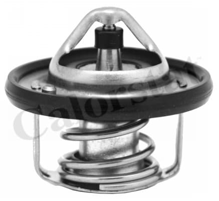 Thermostat/calorstat