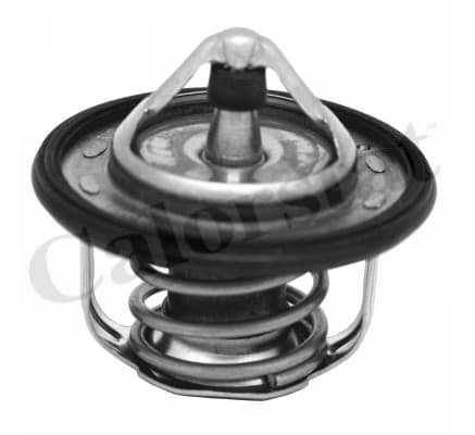 Thermostat/calorstat
