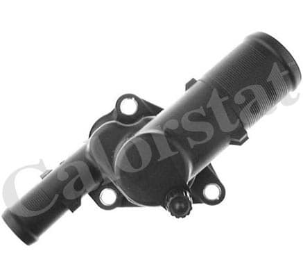 Thermostat/calorstat