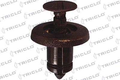 Rivet