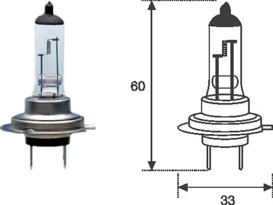 Ampoules