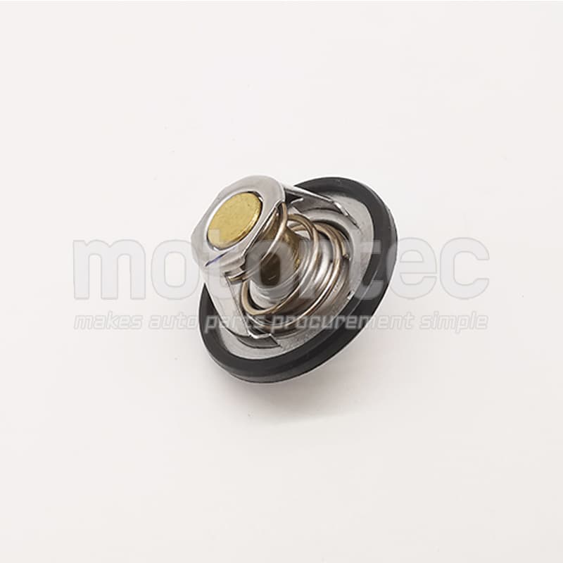 Boîtier du thermostat Origine MG
