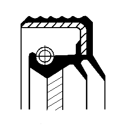 Joint spi transmission