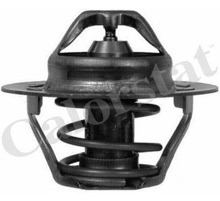 Thermostat/calorstat