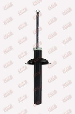 Amortisseur LTM