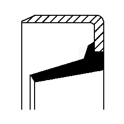 Joint spi transmission