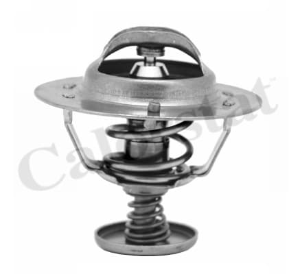 Thermostat/calorstat