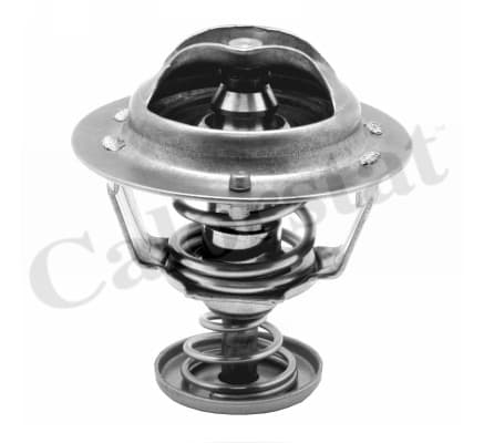 Thermostat/calorstat