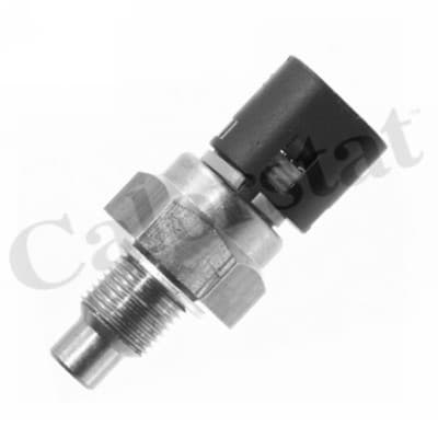 Thermostat/calorstat