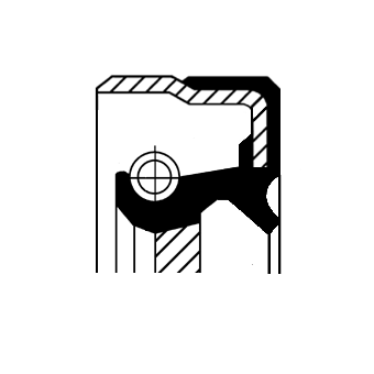 Joint spi transmission