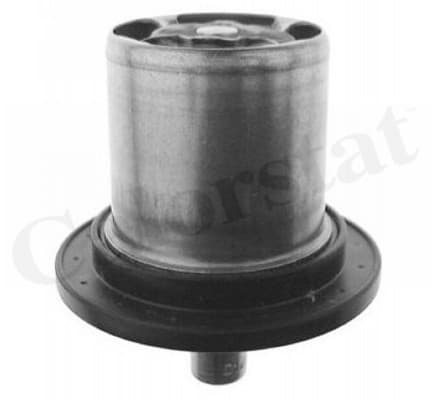Thermostat/calorstat