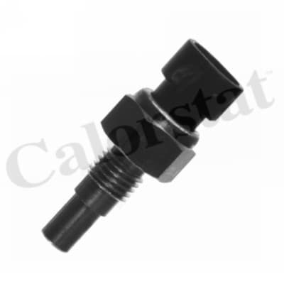 Thermostat/calorstat