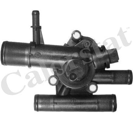 Thermostat/calorstat
