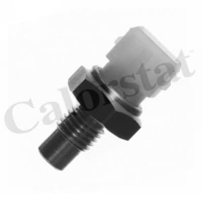 Thermostat/calorstat
