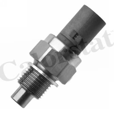 Thermostat/calorstat