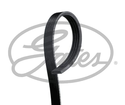 Courroie d'accessoire