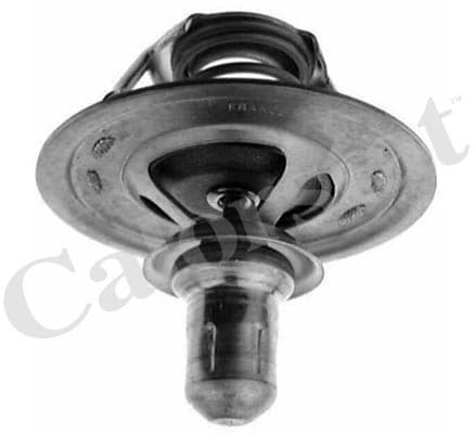 Thermostat/calorstat