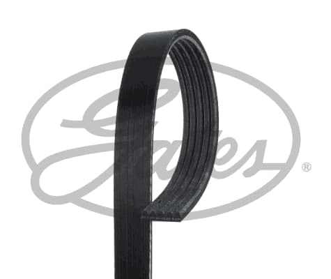 Courroie d'accessoire