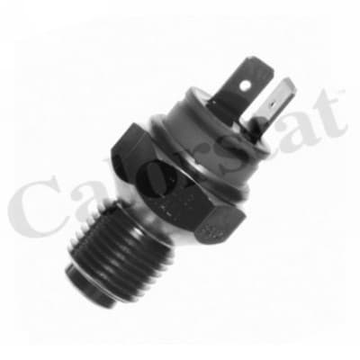 Thermostat/calorstat