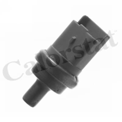 Thermostat/calorstat