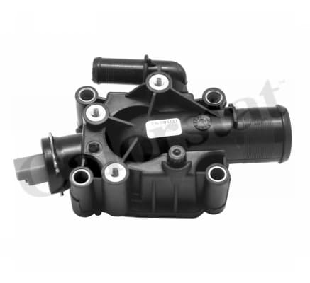 Thermostat/calorstat