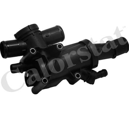 Thermostat/calorstat