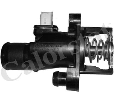 Thermostat/calorstat